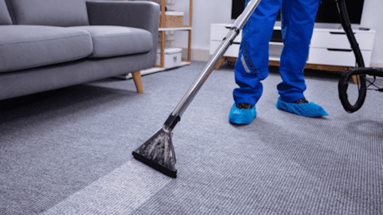 Floor & Carpet Cleaning