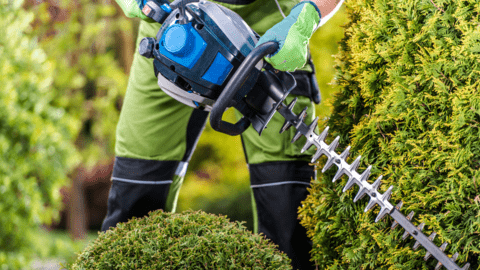 Landscaping